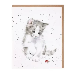 Wrendale Desings Ltd Karten>Karte Ladybird