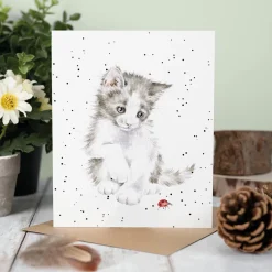 Wrendale Desings Ltd Karten>Karte Ladybird