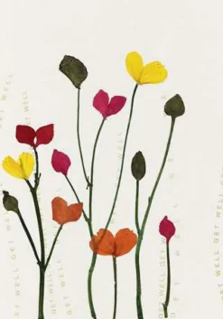 Räder Karten>Karte mehrsprachig Mohnblumen „Alles Gute, Glückwü