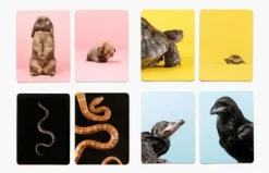 Laurence King Familien- Und Gesellschaftsspiele><noscript><img width=