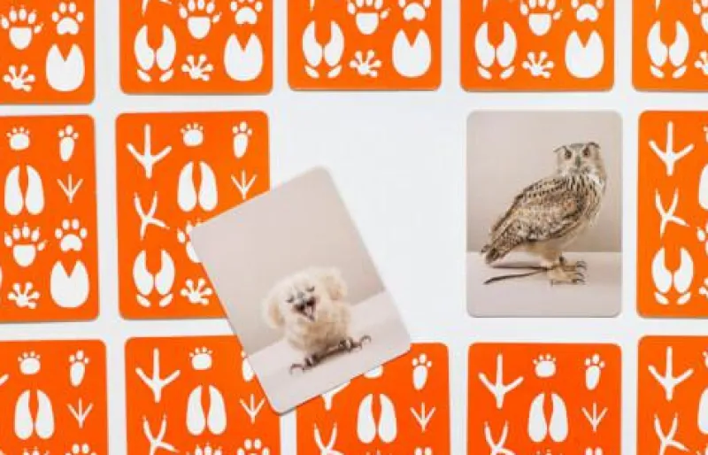 Laurence King Familien- Und Gesellschaftsspiele>Klein & Groß Tierbaby-Memo