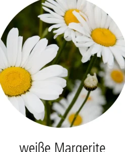 COPPENRATH SPG Geschenkideen><noscript><img width=