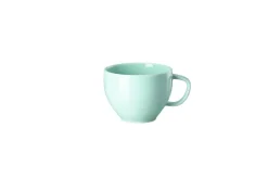 Rosenthal Farbe>Kombi-Obertasse, 0,33 l, Junto / Opal Green