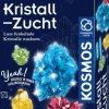 Kosmos Experimentieren>Kristall-Zucht - Lass funkelnde Kristalle wachsen