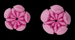 Staedter Gmbh Backzubehör>Krokus Tülle Edelstahl