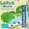 Kosmos Experimentieren>Lotusblume - Züchte Wasserpflanzen und erforsche d