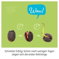 Kosmos Experimentieren><noscript><img width=