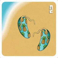 Moses Familien- Und Gesellschaftsspiele><noscript><img width=