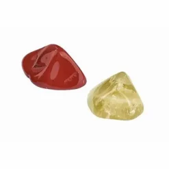 Moses Experimentieren><noscript><img width=