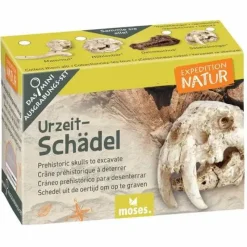 Moses Experimentieren><noscript><img width=