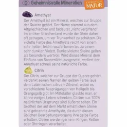 Moses Experimentieren><noscript><img width=