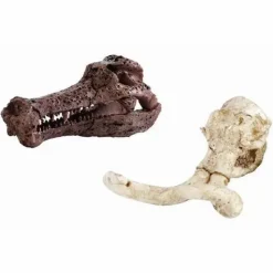 Moses Experimentieren><noscript><img width=