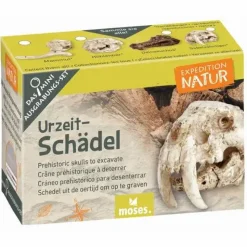 Moses Experimentieren><noscript><img width=