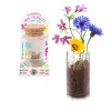 Trendhaus Geschenkideen>Mini-Pflanzset Blumenwiese