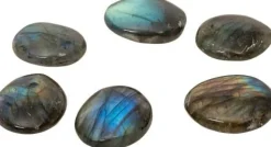 Moses Basteln><noscript><img width=