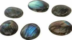 Moses Basteln><noscript><img width=