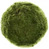 Shishi AS Dekoration>Moos Ball green 22cm