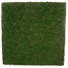 Shishi AS Wand- Und Fensterdekoration>Moss wall plate 100x100x6 cm