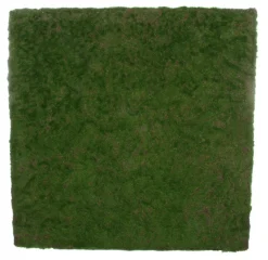 Shishi AS Wand- Und Fensterdekoration>Moss wall plate 100x100x6 cm