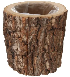 Shishi AS Dekoration>Oak Bark Cylinder 27x24cm