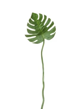 Asa Selection Wand- Und Fensterdekoration>Philodendronblatt L. 72 cm