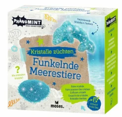 Moses Experimentieren><noscript><img width=