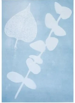 Moses Experimentieren>PhänoMINT - Sonnendruck-Papier A4