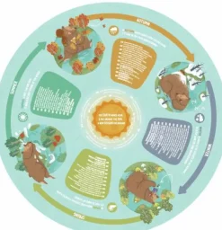 Hape Kleinkindpuzzle|Spielen><noscript><img width=