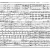 Piatnik Erwachsenenpuzzle>Pz Musical Notes 1000 Teile