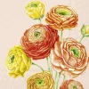 IHR Servietten Und Serviettenringe|Servietten>RANUNCULUS Rose Lunch-Servietten L1030950