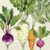 IHR Servietten|Servietten Und Serviettenringe>ROOT VEGETABLES Cream Lunch-Servietten L1045560