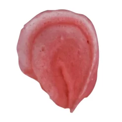 Staedter Gmbh Backzubehör>Rosentülle 97/10mm geschw.