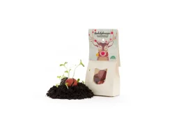 Die Stadtgärtner Geschenkideen>Rudolfnasen - Rote Blumenmurmeln