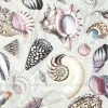 IHR Servietten Und Serviettenringe|Servietten>SHELLS OF THE SEA Nature Cocktail-Servietten C 902