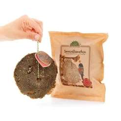 Die Stadtgärtner Geschenkideen>Sonnenblümchen