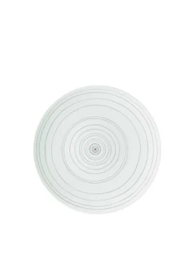 Rosenthal Farbe>Speiseteller, 28 cm, TAC / Stripes 2.0