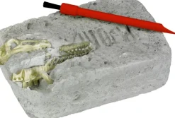 COPPENRATH SPG Experimentieren>T-Rex World - Ausgrabungsset Triceratops