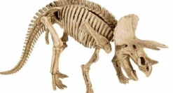 COPPENRATH SPG Basteln><noscript><img width=