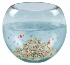 COPPENRATH SPG Experimentieren><noscript><img width=