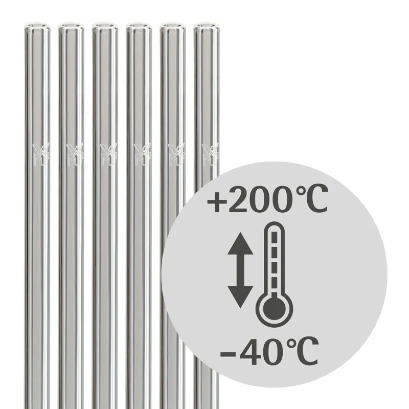 WMF GmbH Barzubehör>Trinkhalm-Set Baric Glas 6-teilig mit Reinigungsbü
