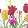 IHR Servietten Und Serviettenringe|Servietten>TULIPS white Lunch-Servietten L 856190