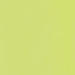 IHR Servietten Und Serviettenringe|Servietten>Uni Lime Vlies Dinner-Servietten VD 9028