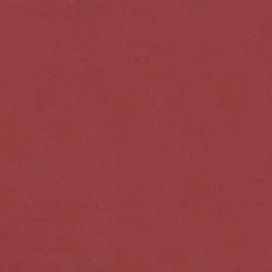 IHR Servietten|Servietten Und Serviettenringe>Uni red Vlies Dinner-Servietten VD 9010