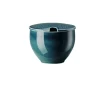 Rosenthal Farbe>Zuckerdose m. Einschnitt, 0,28 l , Junto / Ocean B