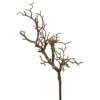 Fink Wand- Und Fensterdekoration>Zweig/braun klein H28cm